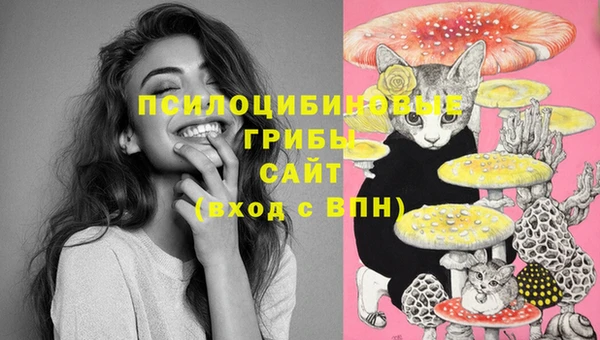 СК Гусиноозёрск